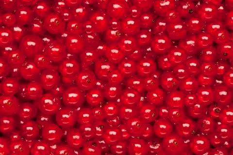 Redcurrant background Stock Photos