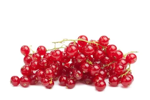 Redcurrant berries isolated Stock Photos