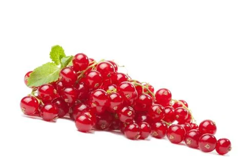 Redcurrant berries isolated Stock Photos