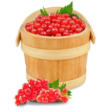 Redcurrant in a bucket Stock Photos