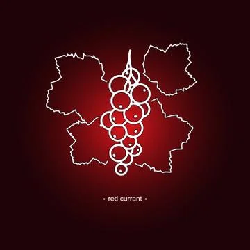 Redcurrant in the Contours 스톡 일러스트