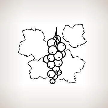 Redcurrant in the Contours 스톡 일러스트