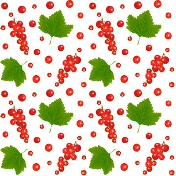 Redcurrant Stock Illustration