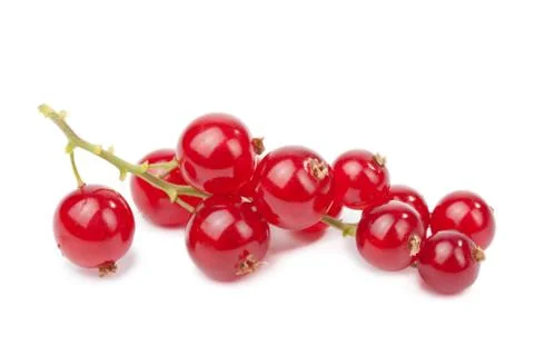 Redcurrant isolated Stock Photos