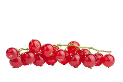 Redcurrant isolated Stock Photos