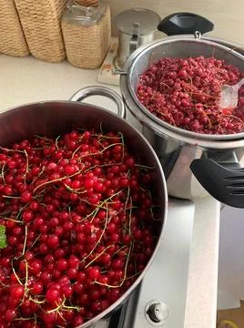 Redcurrant jam Stock Photos