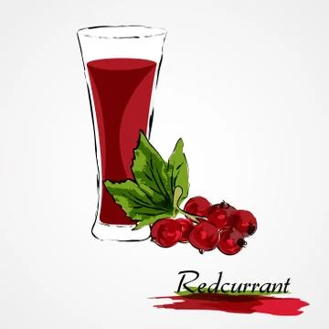 Redcurrant juice Illustrazione stock