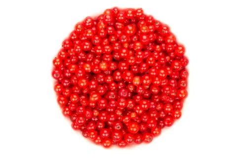 Redcurrant Stock Photos