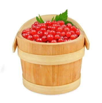Redcurrant Stock Photos