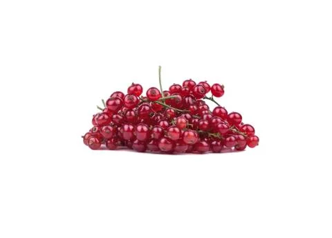Redcurrant Stock Photos
