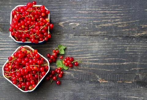 Redcurrant Stock Photos