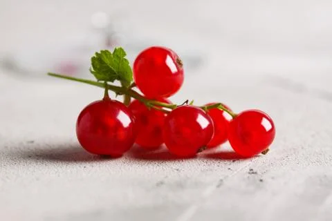 Redcurrant pile (ribes rubrum) light concrete background Stock Photos