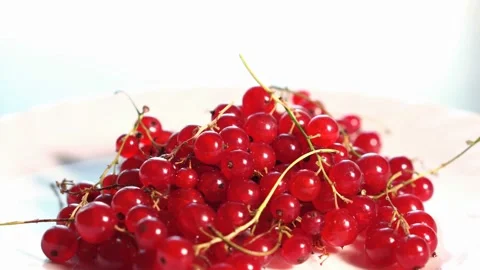 Redcurrant on the plate Stock-Footage 93587133