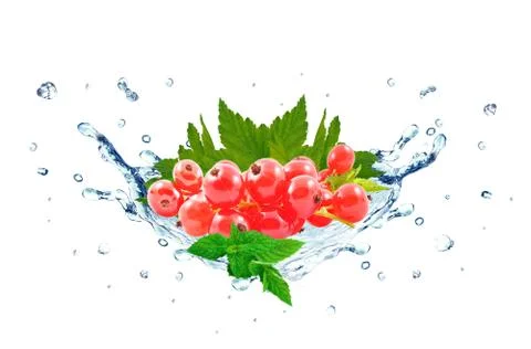 Redcurrant splash Stock Photos