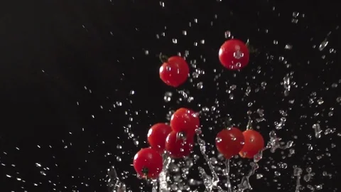 Redcurrant throw up with water splash droplets slow motion closeup Stock Footage 125339624