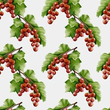 Redcurrant watercolor pattern suitable for various textile and wrapping des.. Stock Illustration