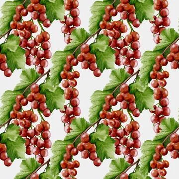 Redcurrant watercolor pattern for textile and fabric design projects Stock Illustration