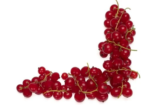 Redcurrant on white background Stock Photos