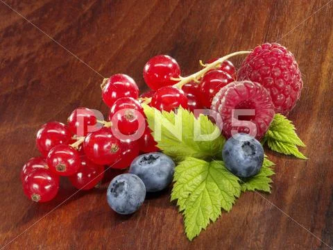 Redcurrants, blueberries and raspberries Stock Photos