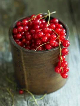 Redcurrants in a cup Stock Photos
