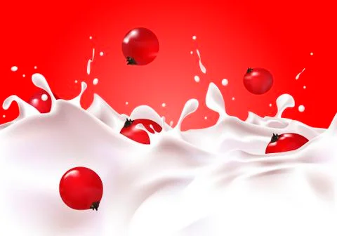 Redcurrants falls in milk Stock Illustration