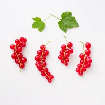 Redcurrants on white background Stock Photos