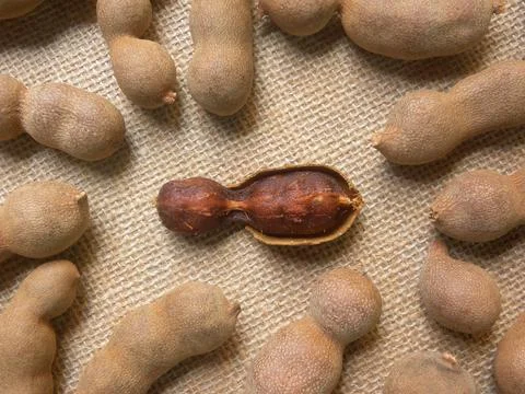 Reddish brown color broken raw dried Tamarind fruit Stock Photos