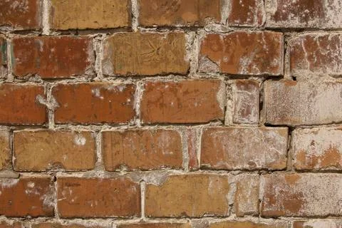 Reddish brown old brick wall. Stock Photos