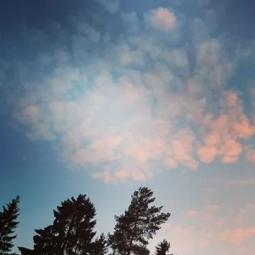 Reddish clouds in the sky 库存照片