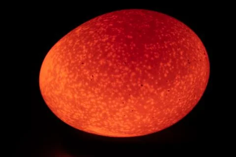 A reddish easter egg like picture of a raw egg through mobile flash light. Stock Photos
