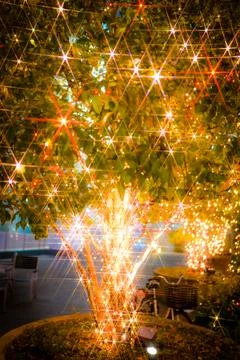 Reddish light tree Stock Photos