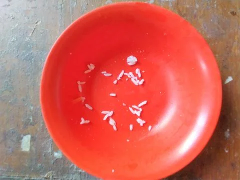 Reddish-orange plate features scattered white rice crumbs against a rustic Stock Photos