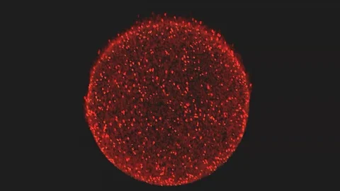 Reddish particles in circle on black background. Stock Footage 122776176