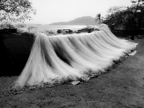 Rede Secando Stock Photos