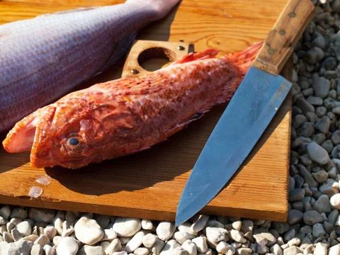 Redfish on board Stockfoto's