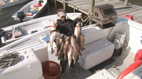 Redfish Fishing Видео 728065