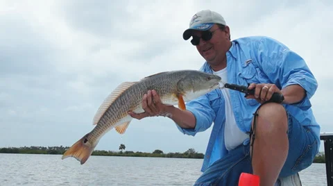 Redfish Fishing Stock Footage 36787568