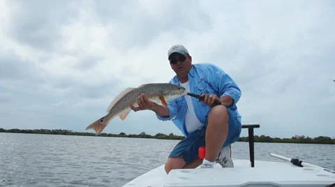 Redfish Fishing Stock Footage 36787646