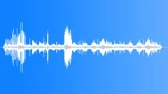 RedFooted Booby Calls CU Sound Effect