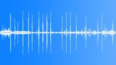 RedFooted Booby CU CallsSound Effect