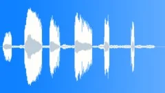 RedFooted Booby CU CallsSound Effect