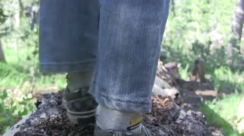 Redhead boy walking log Stock Footage 25592515