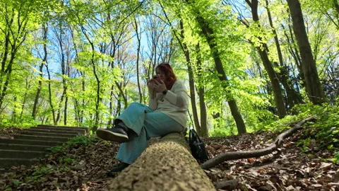 Redhead Woman Using Smartphone While Sitting On Log In Spring Forest Stock Footage 341410938