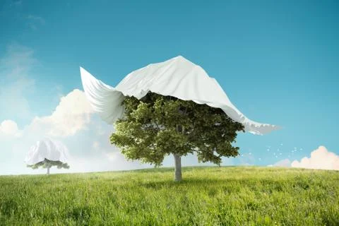 Rediscover the nature Stock Illustration