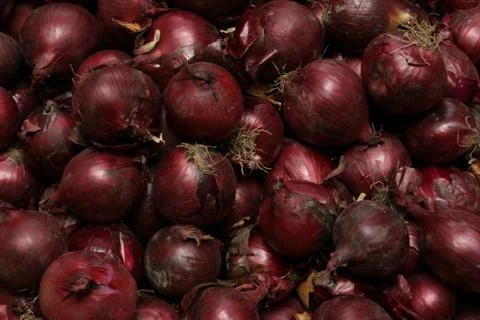 Redonion Stock-Fotos