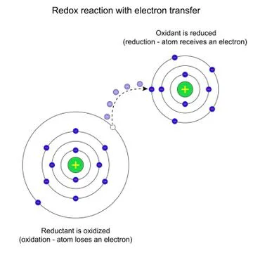 Redox reaction with electron transfer Stock Illustration