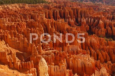 Redrock hoodoos in Bryce Canyon, Utah Stock Photos