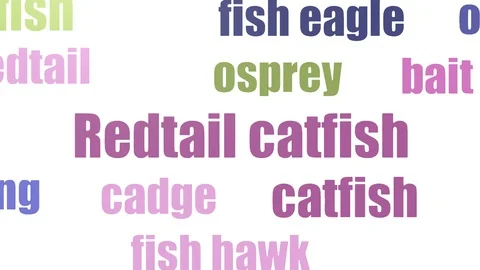 Redtail Catfish Tagcloud Animated Isolated On White Stock Footage 103093889