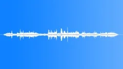 RedTailed Comet Hummingbird CUSound Effect