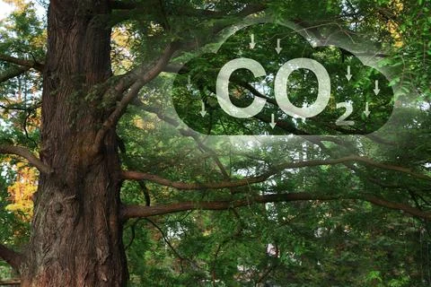 Reduce CO2 emissions. Illustration of cloud with CO2 inscription, arrows an.. Stock Photos